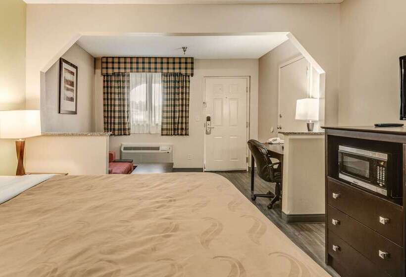 ホテル Quality Inn & Suites Dublin