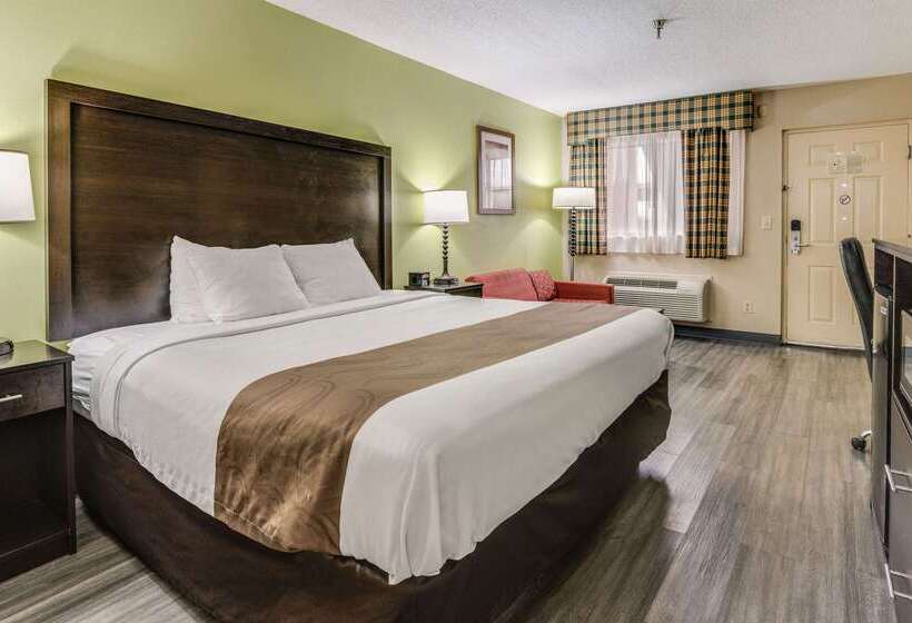 ホテル Quality Inn & Suites Dublin