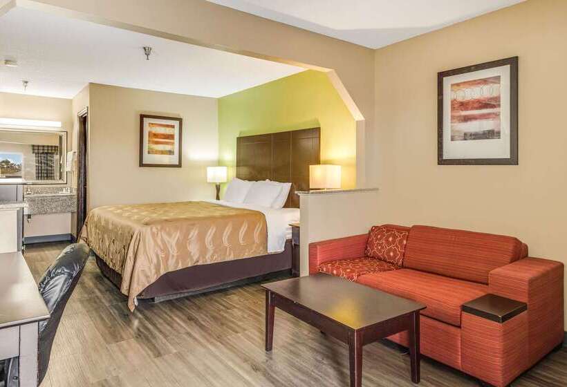 ホテル Quality Inn & Suites Dublin