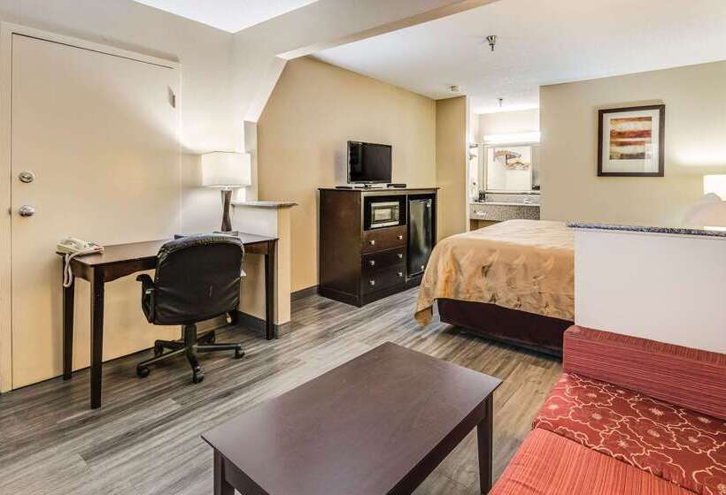 ホテル Quality Inn & Suites Dublin