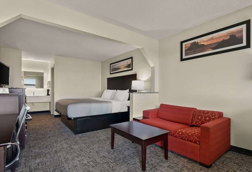 ホテル Quality Inn & Suites Dublin