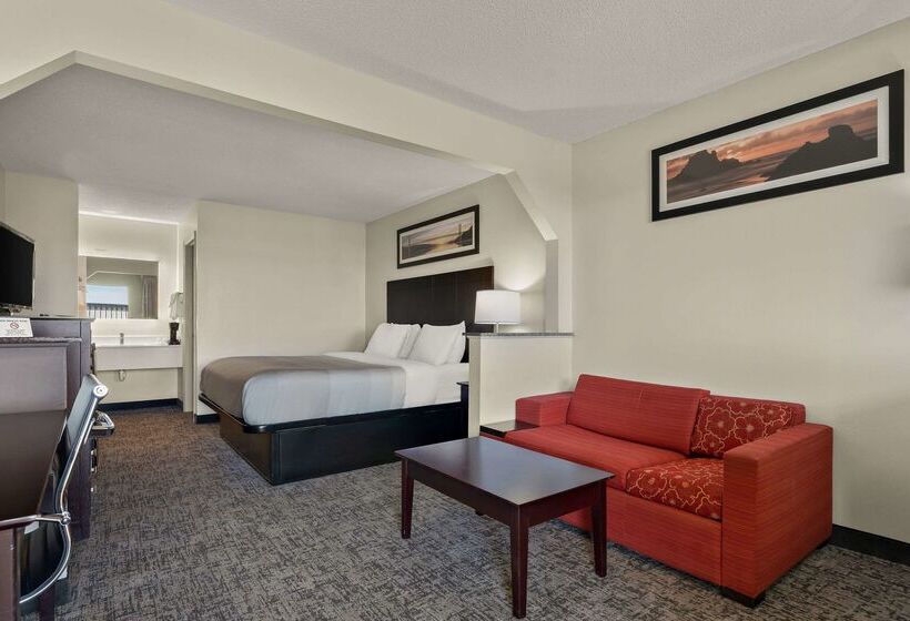 ホテル Quality Inn & Suites Dublin