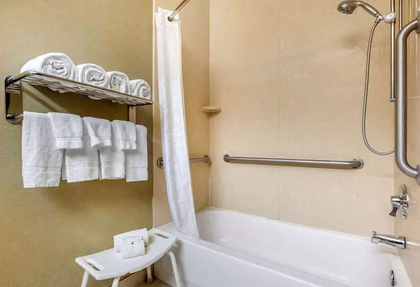 酒店 Quality Inn & Suites Durant