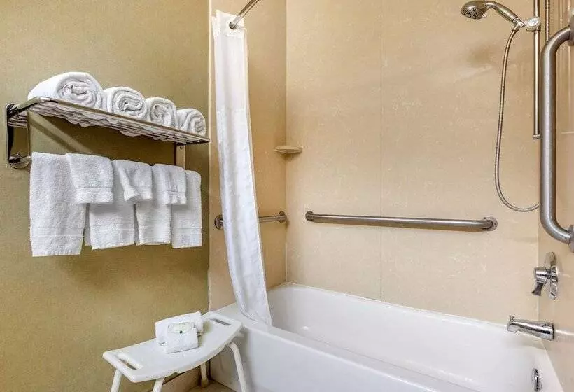 酒店 Quality Inn & Suites Durant