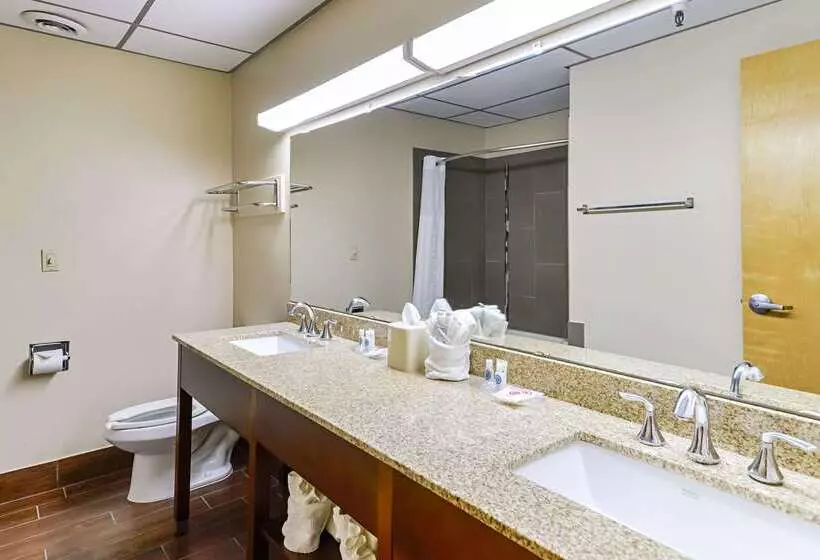 호텔 Quality Suites