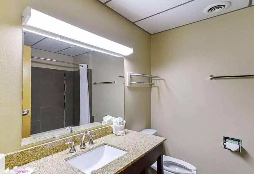 호텔 Quality Suites