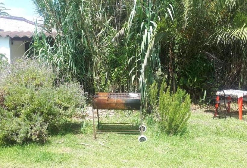 ユースホステル Buenavida