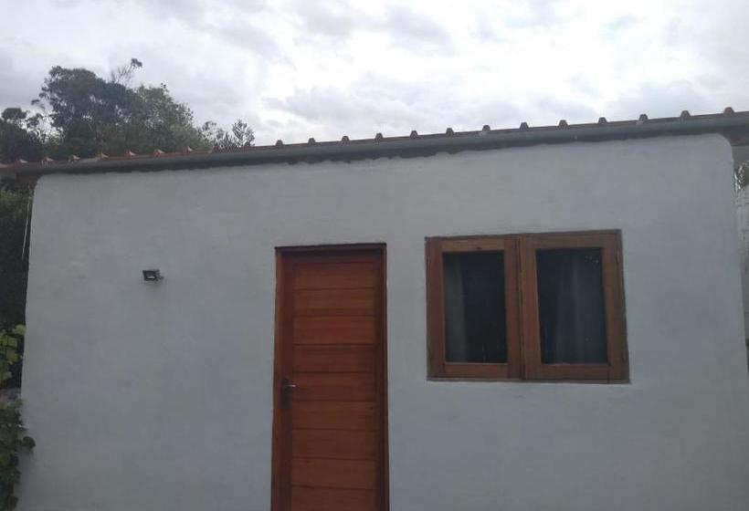 ユースホステル Buenavida