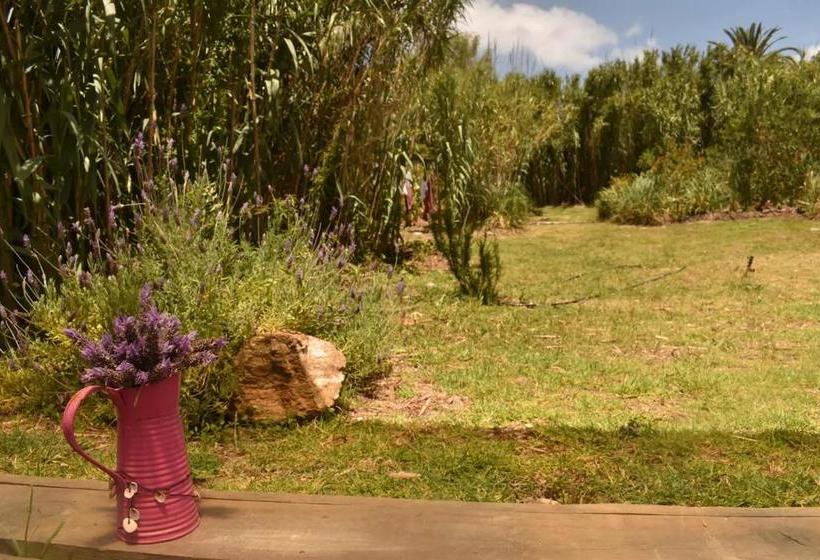 ユースホステル Buenavida