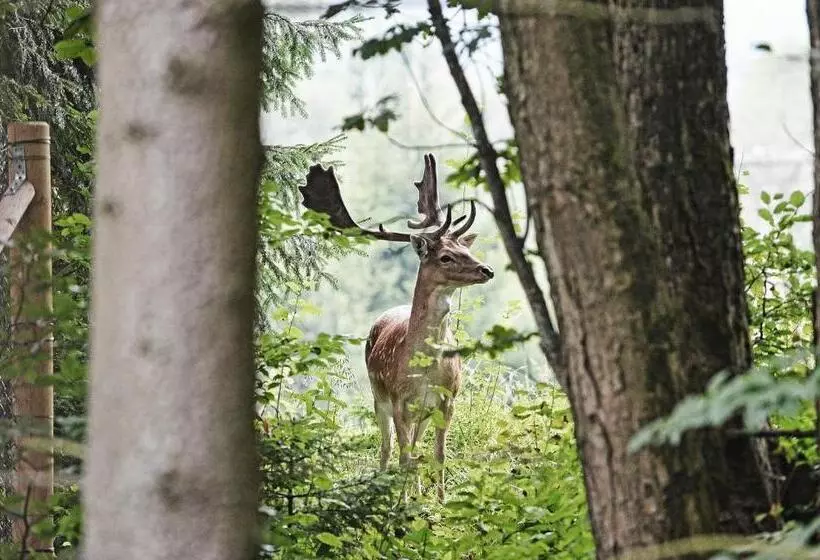 Majatalo Apartmány Chata Večernice