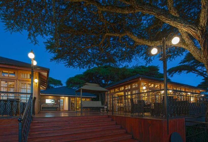 酒店 Lions Paw Ngorongoro