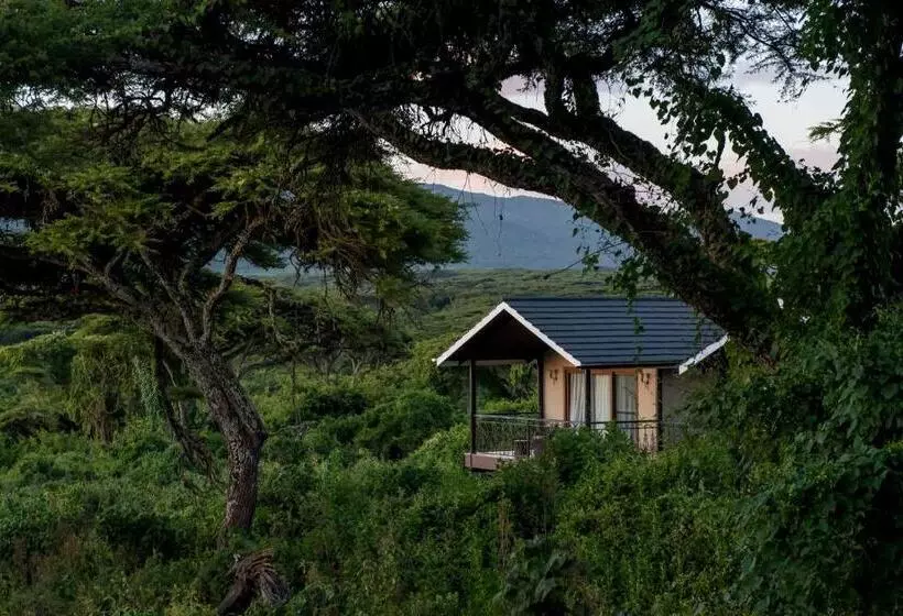 ホテル Lions Paw Ngorongoro