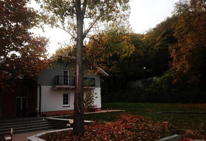 פנסיון Varga Villa