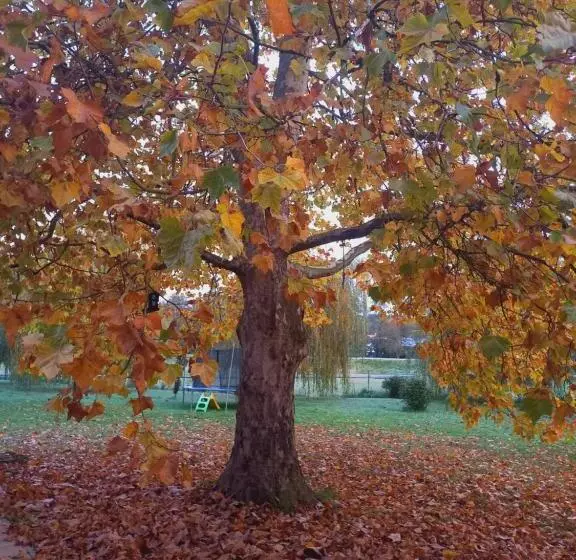 Majatalo Varga Villa