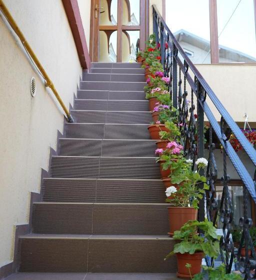 Pensionat Vila Trandafir