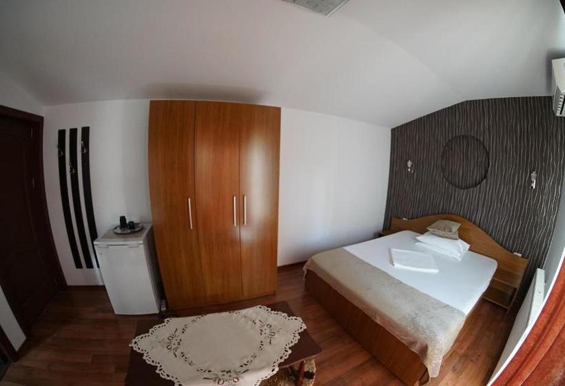 Pensionat Vila Trandafir