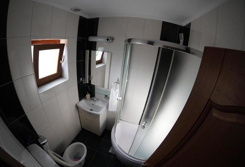 Pensionat Vila Trandafir