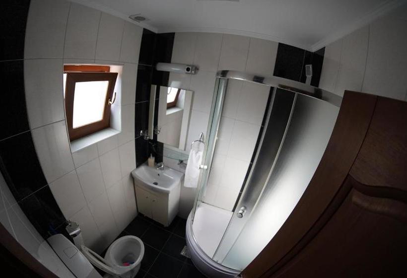 Pensionat Vila Trandafir