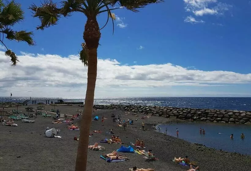 ペンション Welcome To Discover The Magic Amazing Tenerife !! Private Bath Nice Breakast Wf :)