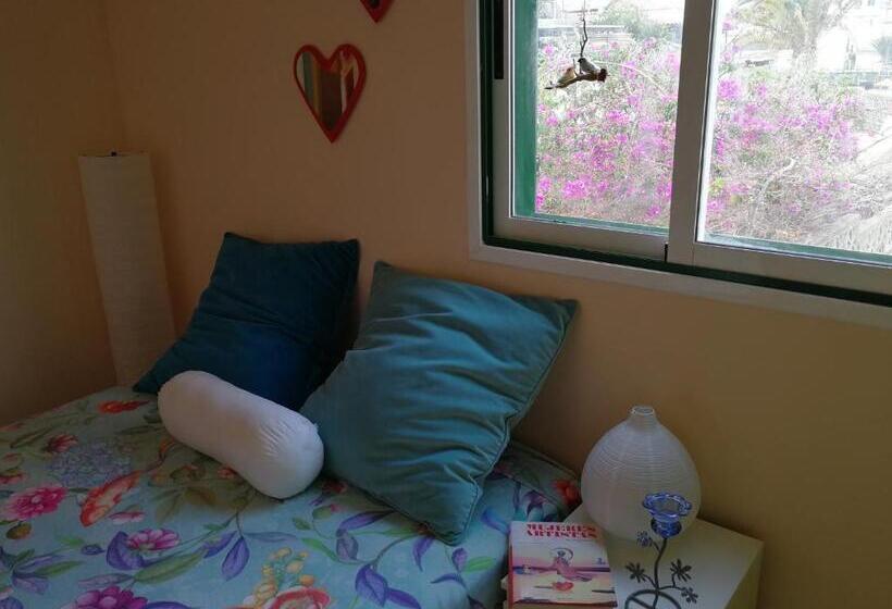 Pensão Welcome To Discover The Magic Amazing Tenerife !! Private Bath Nice Breakast Wf :)