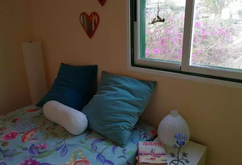 ペンション Welcome To Discover The Magic Amazing Tenerife !! Private Bath Nice Breakast Wf :)