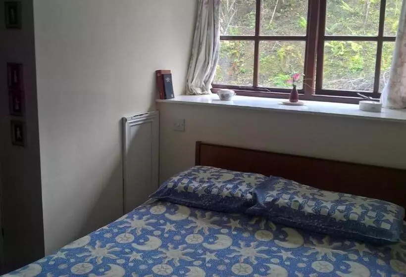 Hotelli Rhymney House