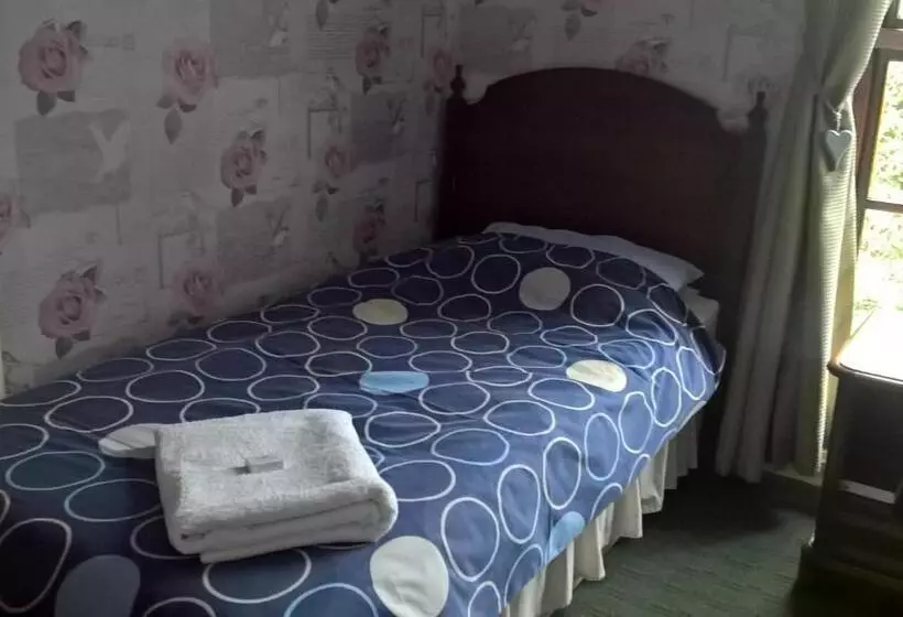 Hotelli Rhymney House