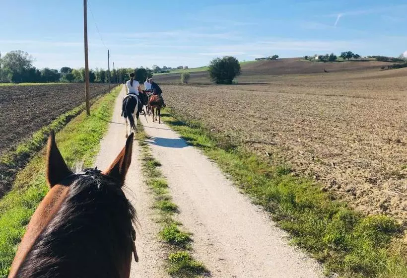 Hotelli Ritorno Alla Natura