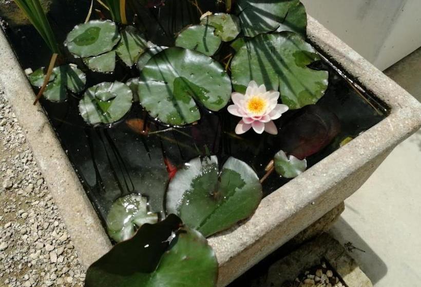 Pensjonat Giardino D'oriente