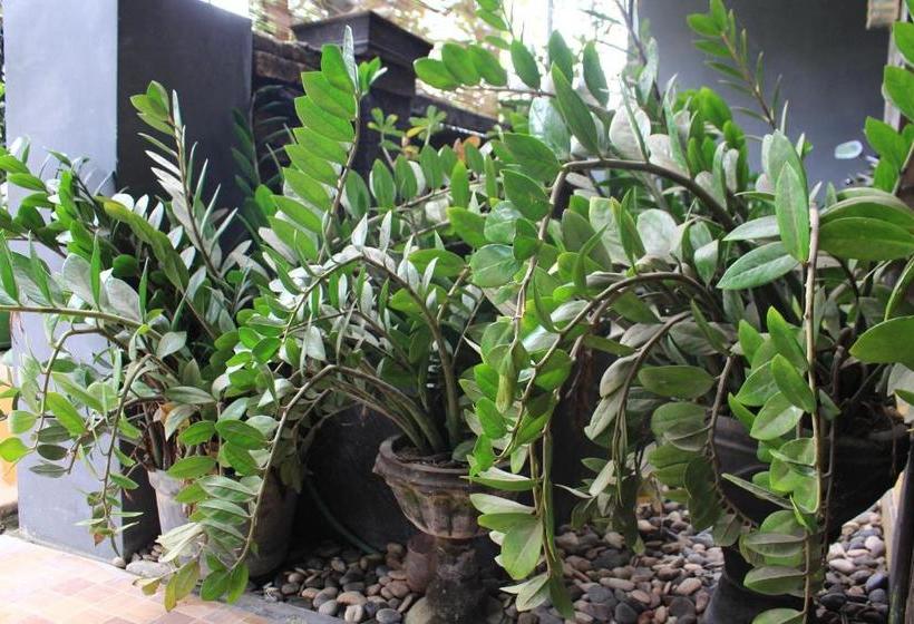 Pensionat Kampoeng Pakis Inn