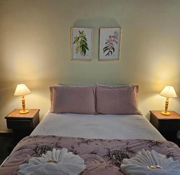 פנסיון Pousada Conde Redondo