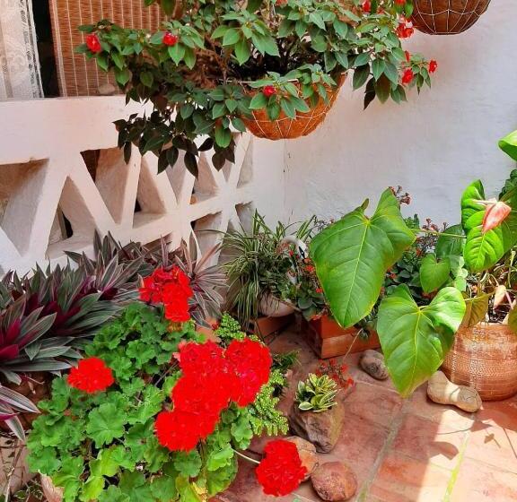 پانسیون Mi Ranchito, Centro