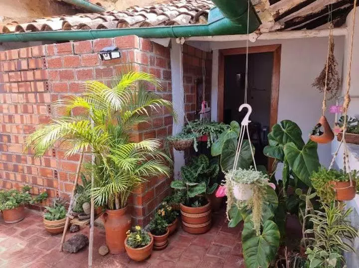 ペンション Mi Ranchito, Centro