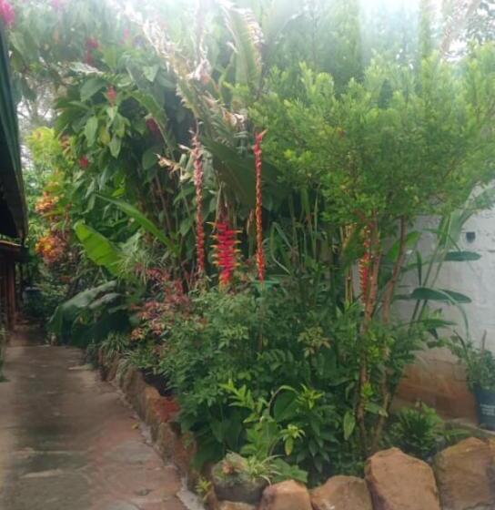 پانسیون Mi Ranchito, Centro