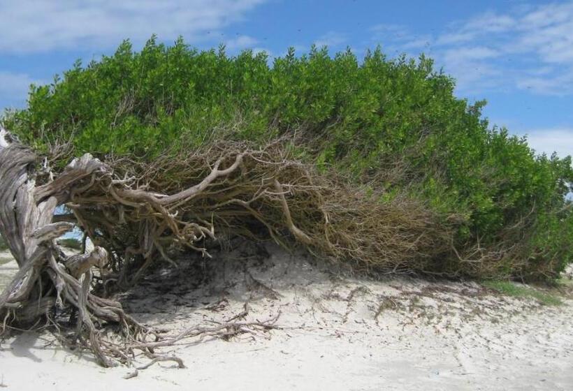 펜션 Pousada Infinito Azul