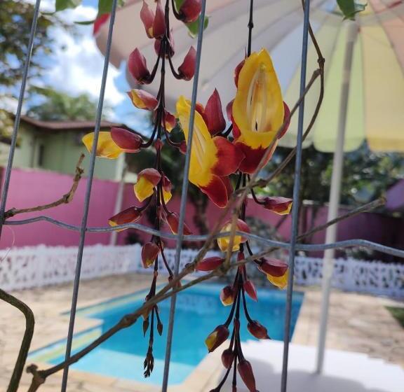 پانسیون Pousada Nova Primavera