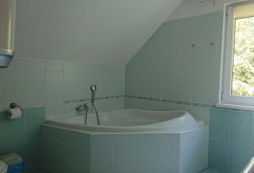 پانسیون Penzion Pod Vlkolíncom