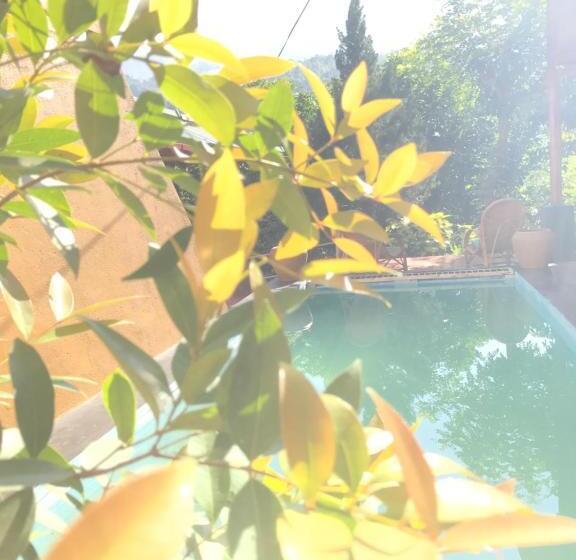 بنسيون Plantation Retreat