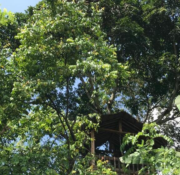 بنسيون Plantation Retreat