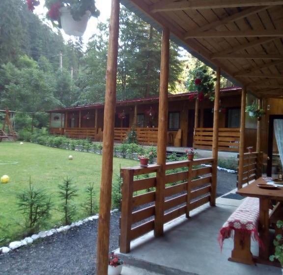 펜션 Casa Vrânceană