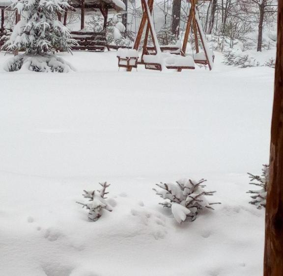 펜션 Casa Vrânceană