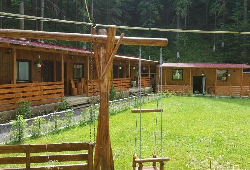 펜션 Casa Vrânceană