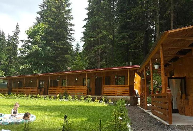 بنسيون Casa Vrânceană