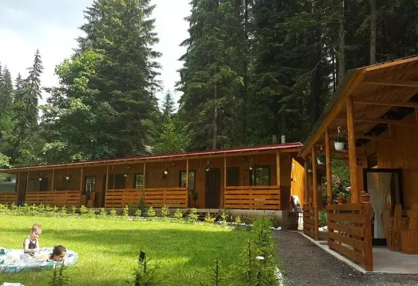 پانسیون Casa Vrânceană
