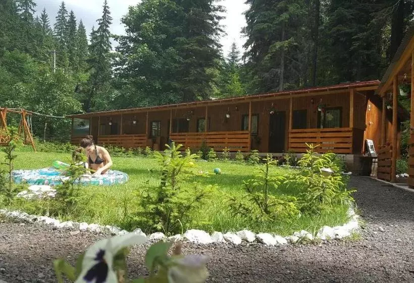 پانسیون Casa Vrânceană