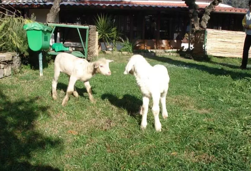 ホテル Agriturismo La Vecchia Dolceacqua