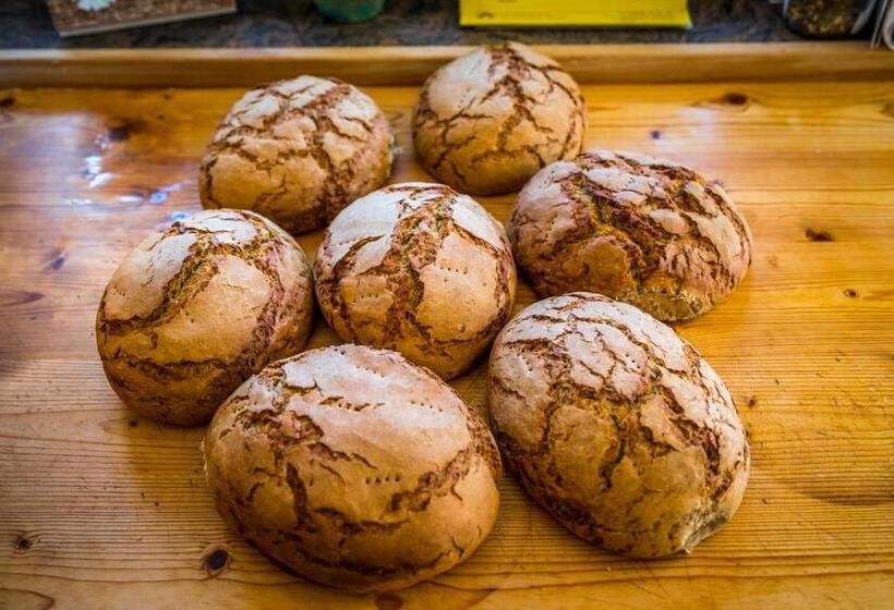 ホテル Bio Bauernhof Obertrattenbachhof