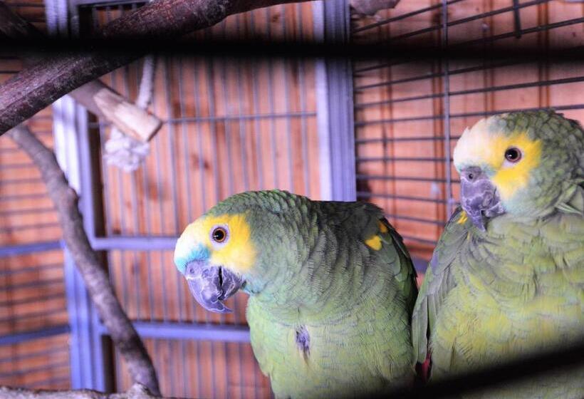 بنسيون Les Chambres Et Roulottes Des Noisetiers