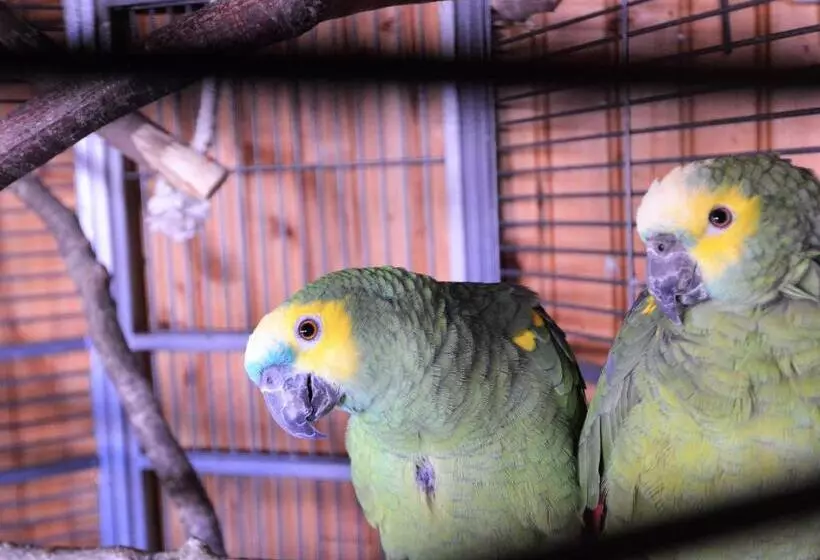 Majatalo Les Chambres Et Roulottes Des Noisetiers