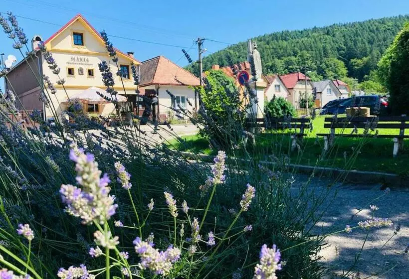 پانسیون Maria Penzion & Restaurant